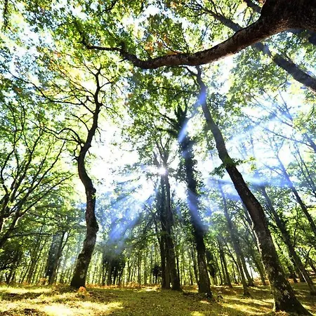 Rotonda Sul Mare לינה וארוחת בוקר