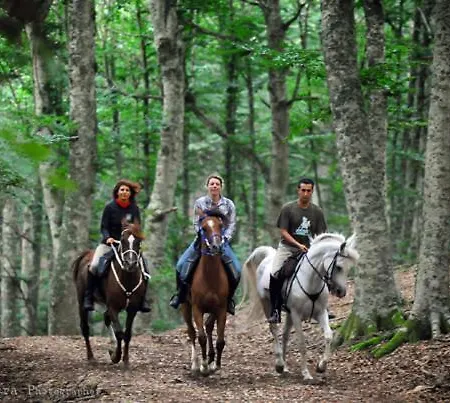 Rotonda Sul Mare לינה וארוחת בוקר 3*